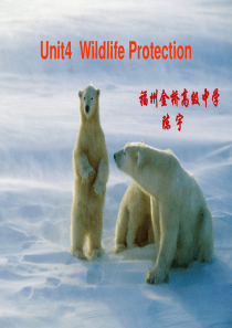 高一英语必修2 Unit4 Wildlife Protection