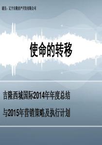 2014年新民房地产项目总结及2015年计划