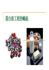 人教版选修3专题一第四节蛋白质工程的崛起(共20张PPT)