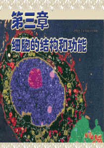 苏教版教学课件高中生物苏教版必修一第3章第1节：《生命活动的基本单位――细胞》课件