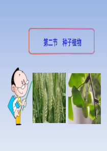 七年级生物上册 第三单元 第一章 第二节《种子植物》课件 新人教版