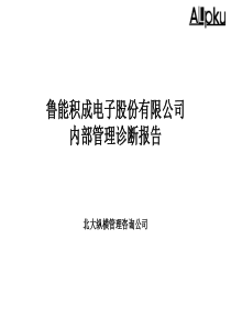 北大纵横鲁能战略梳理内部管理诊断报告