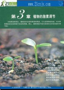 生物：《其他植物激素》课件(新人教版必修3)