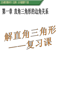 鲁教版九上解直角三角形复习课件ppt