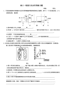 高中生物一轮复习光合作用大题带答案