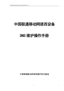 中国联通移动网诺西dns设备维护操作手册v1.0