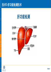 实验5-肝功能检测教案