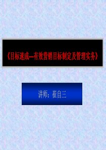 《有效营销目标制定及管理实务》