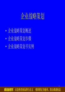 32企业战略策划