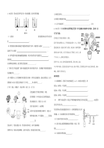 七年级生物光合作用和呼吸作用测试题