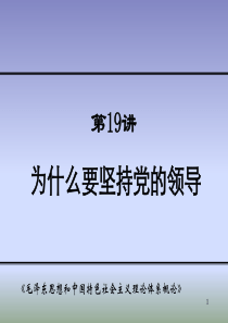 为什么要坚持党的领导