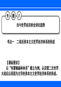 一轮复习-人民版-必修二-专题八-当今世界经济的全球化趋势