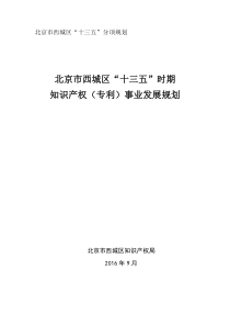 区十三五知识产权规划研究报告提纲