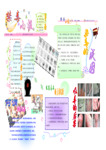 禁毒电子小报