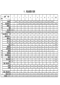 现金流量计划表