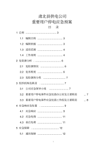 重要用户停电应急预案