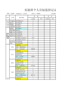 个人目标监控表