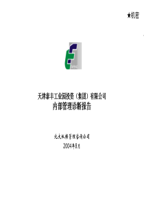 天津泰丰-报告3-内部管理诊断报告