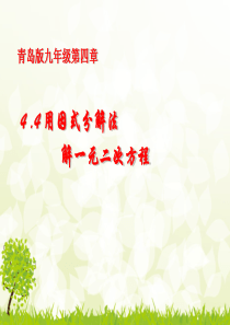 (青岛版)九年级上册课件：4.4用因式分解法解一元二次方程(共13张PPT)