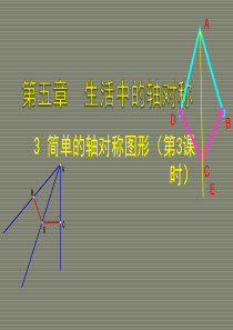 北师大版七年级下(新教材)5.3 简单的轴对称图形(三)