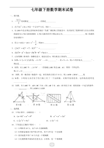 北师大版七年级下册数学期末试卷