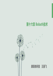 第十六章------Bobath技术