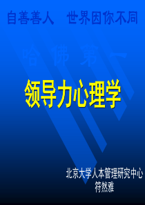 领导力心理学(自善善人,世界因你不同)