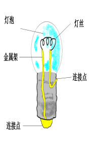 小学科学点亮我的小灯泡