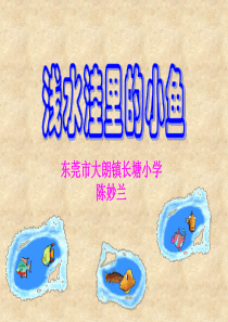 浅水洼里的小鱼