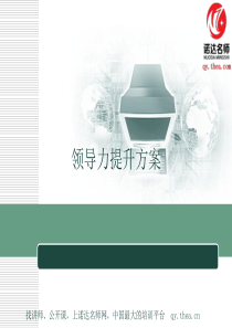 领导力提升方案（PPT31页)