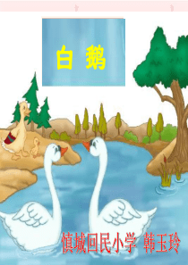 《白鹅》课件6.ppt_; filename_=UTF-8《白鹅》课件6