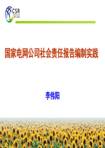 央企社会责任培训之国家电网公司社会责任报告编制实践