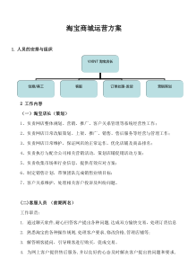 天猫商城运营方案