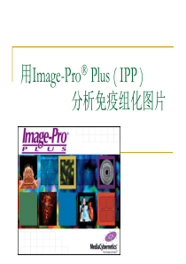 用ImagePro-Plus-分析免疫组化图片