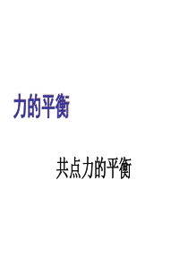 共点力的平衡