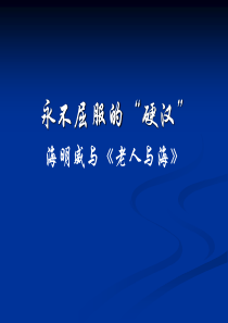 外国文学《老人与海》教案精华版