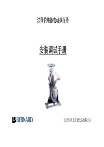 BERNARD安装调试说明