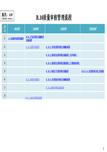 B10质量审核管理流程