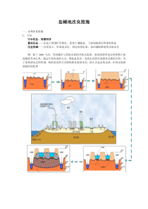 盐碱地改良措施