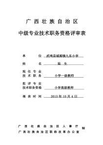 广西壮族自治区中级专业技术职务资格评审表(样表)