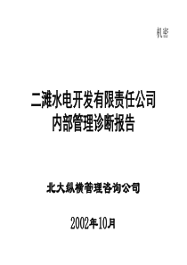 水电开发公司内部管理诊断