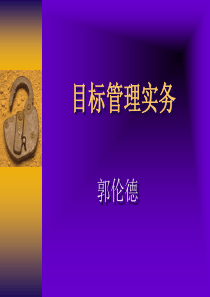 企业两种目标管理方法(ppt 198)