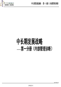 泸州老窖中长期发展战略-内部管理诊断