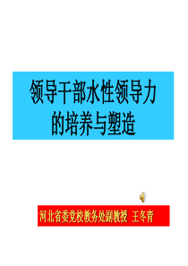 领导干部水性领导力(420)