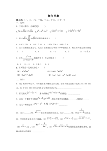 初三总复习数与代数专题练习