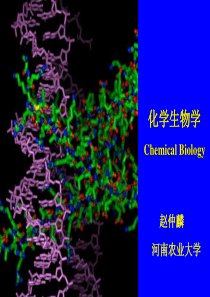 化学生物学-绪论