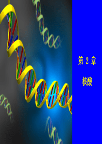 第2章核酸