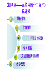 《细胞器——系统内的分工合作》说课稿-(1)-(1)