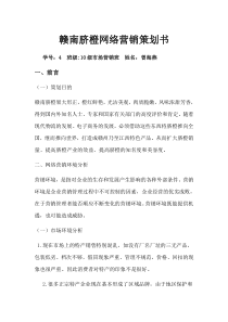 网络营销计划书