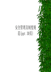 安全管理及制度规范(ppt-30页)